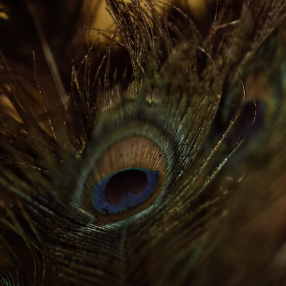 Doula Marlouk - Doula Marlouk - Sjamanistische Doula